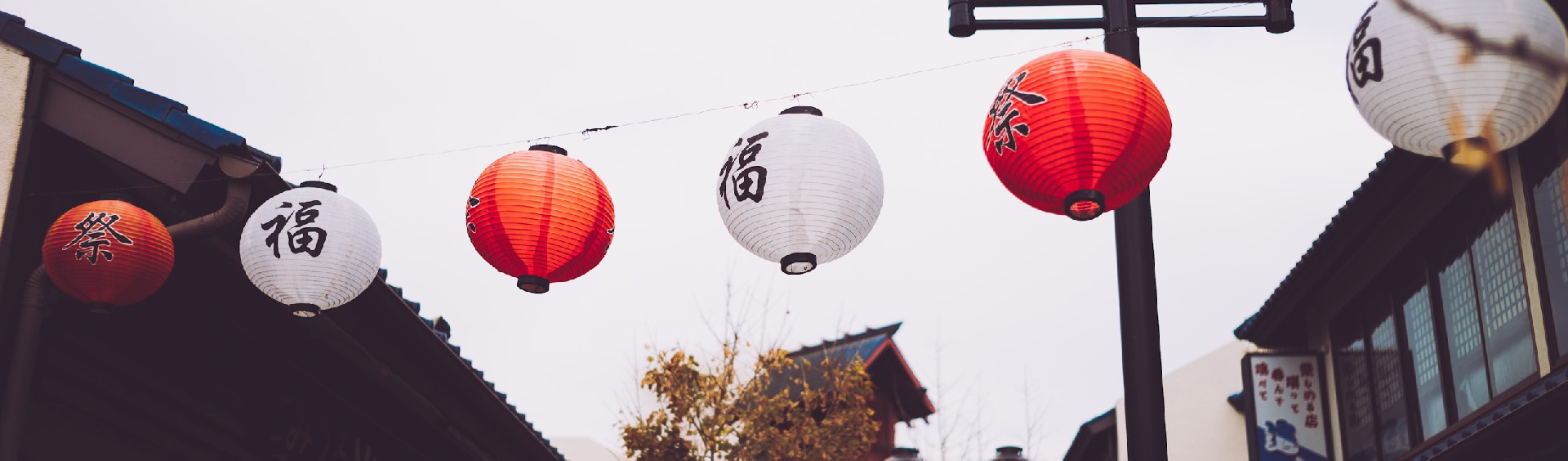 Master Chinese Language Online